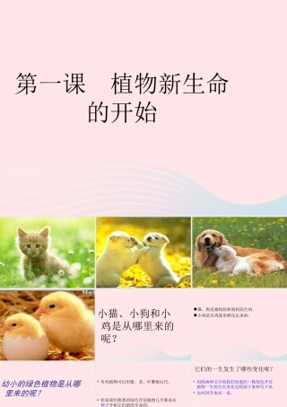 三年级科学下册 植物的生长变化 1 植物新生命的开始课件2 教科版-教科版小学三年级下册自然科学课件