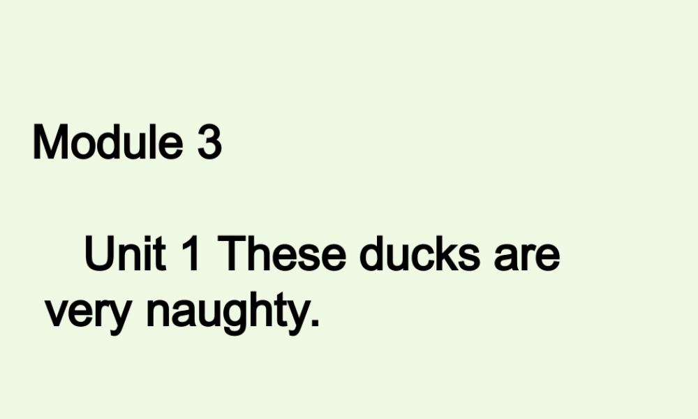 三年级英语上册 Module 3 Unit 1 These ducks are very naughty课件3 外研版（一起）-外研版小学三年级上册英语课件