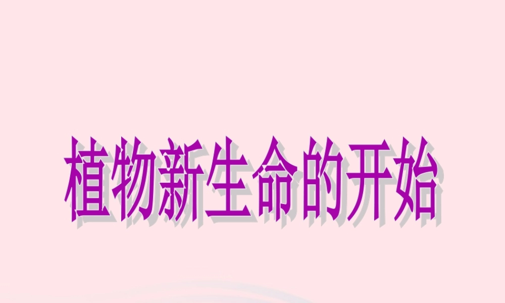 三年级科学下册 植物的生长变化 1《植物新生命的开始》课件2 教科版-教科版小学三年级下册自然科学课件