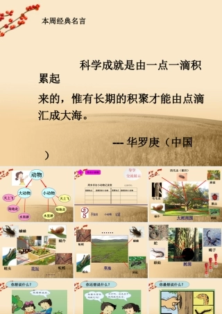 三年级科学上册 寻访小动物课件 教科版