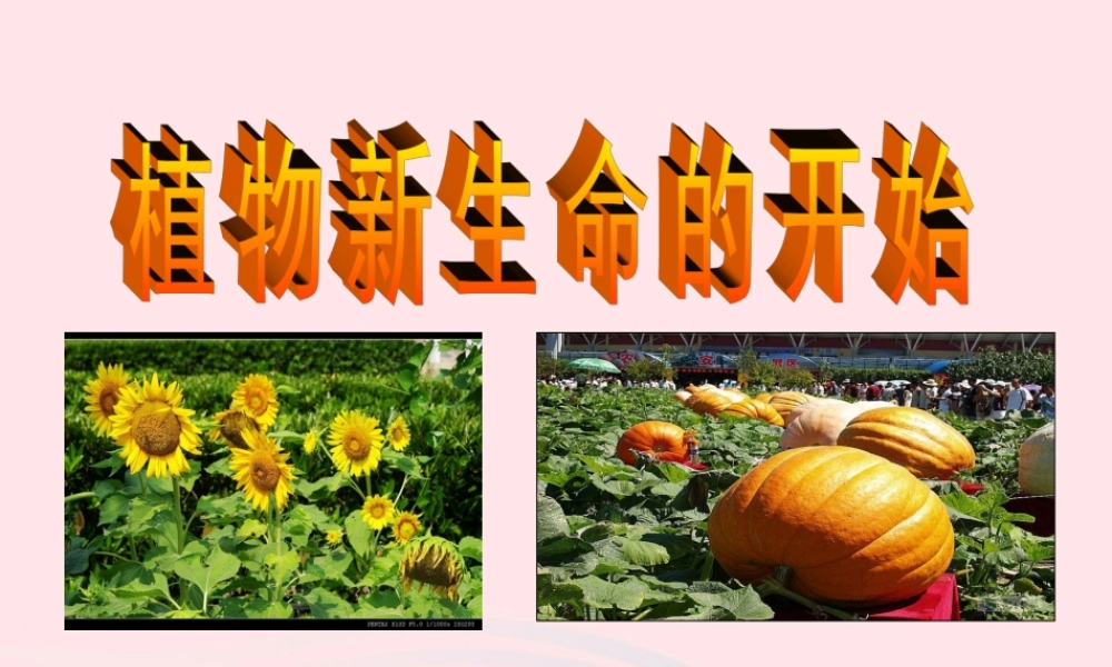 三年级科学下册 植物的生长变化 1植物新生命的开始课件 教科版-教科版小学三年级下册自然科学课件