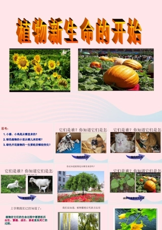三年级科学下册 植物的生长变化 1植物新生命的开始课件 教科版-教科版小学三年级下册自然科学课件