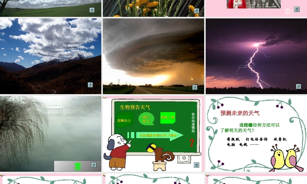 三年级科学上册 一周的天气 1课件 青岛版五年制