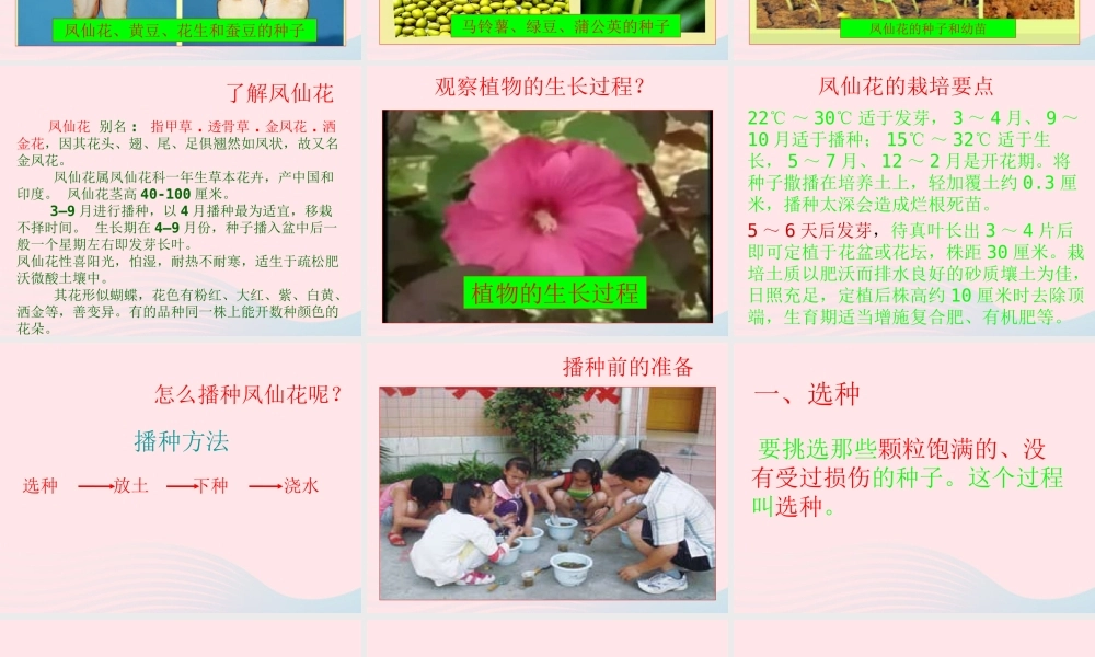 三年级科学下册 植物的生长变化 2 种植我们的植物课件 教科版-教科版小学三年级下册自然科学课件