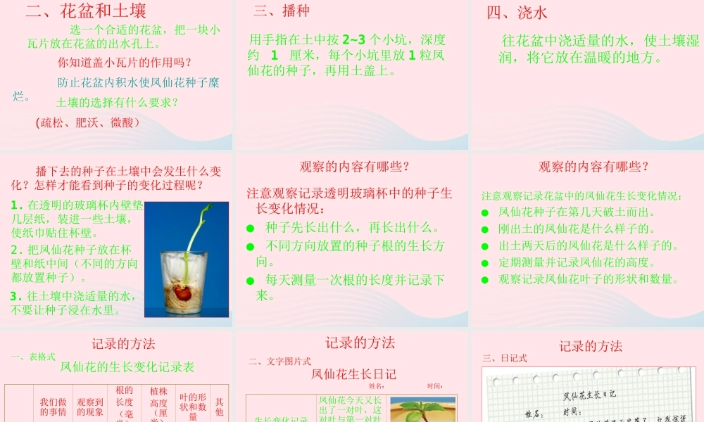 三年级科学下册 植物的生长变化 2 种植我们的植物课件 教科版-教科版小学三年级下册自然科学课件