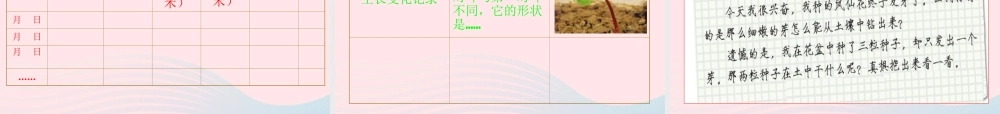 三年级科学下册 植物的生长变化 2 种植我们的植物课件 教科版-教科版小学三年级下册自然科学课件
