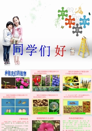 三年级科学下册 植物的生长变化 2 种植我们的植物课件 教科版-教科版小学三年级下册自然科学课件