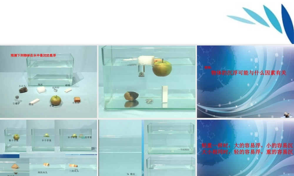 三年级科学上册 有趣的浮沉现象课件1 青岛版