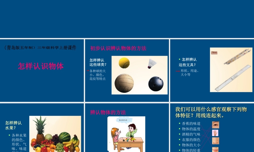 三年级科学上册 怎样认识物体课件1 青岛版