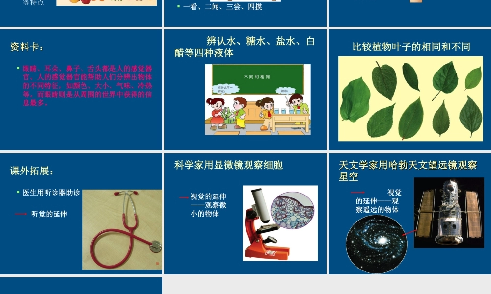 三年级科学上册 怎样认识物体课件1 青岛版