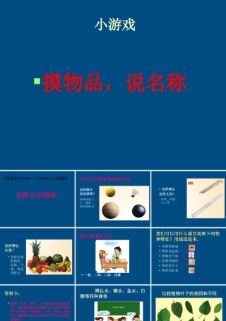 三年级科学上册 怎样认识物体课件1 青岛版