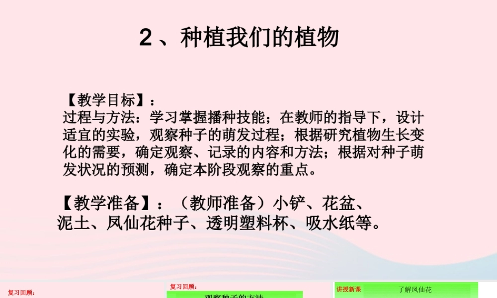 三年级科学下册 植物的生长变化 2 种植我们的植物课件1 教科版-教科版小学三年级下册自然科学课件