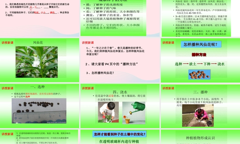 三年级科学下册 植物的生长变化 2 种植我们的植物课件1 教科版-教科版小学三年级下册自然科学课件