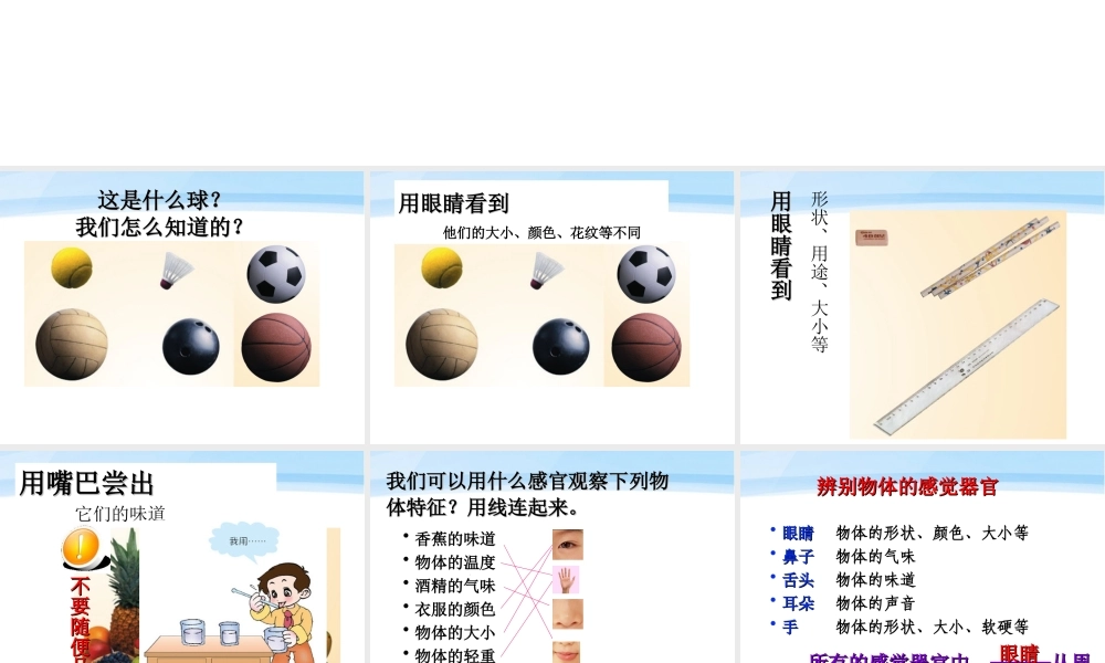 三年级科学上册 怎样认识物体课件2 青岛版