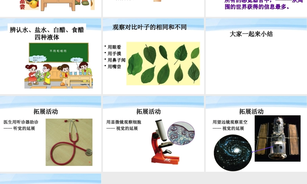 三年级科学上册 怎样认识物体课件2 青岛版