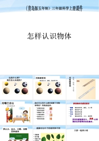 三年级科学上册 怎样认识物体课件2 青岛版
