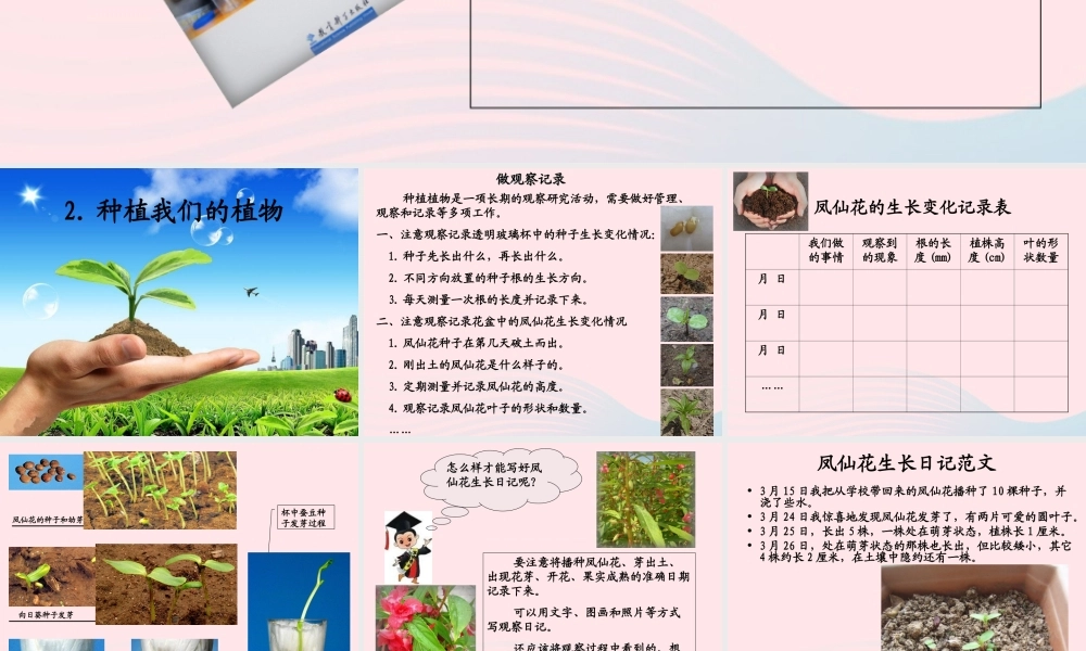 三年级科学下册 植物的生长变化 2 种植我们的植物课件2 教科版-教科版小学三年级下册自然科学课件