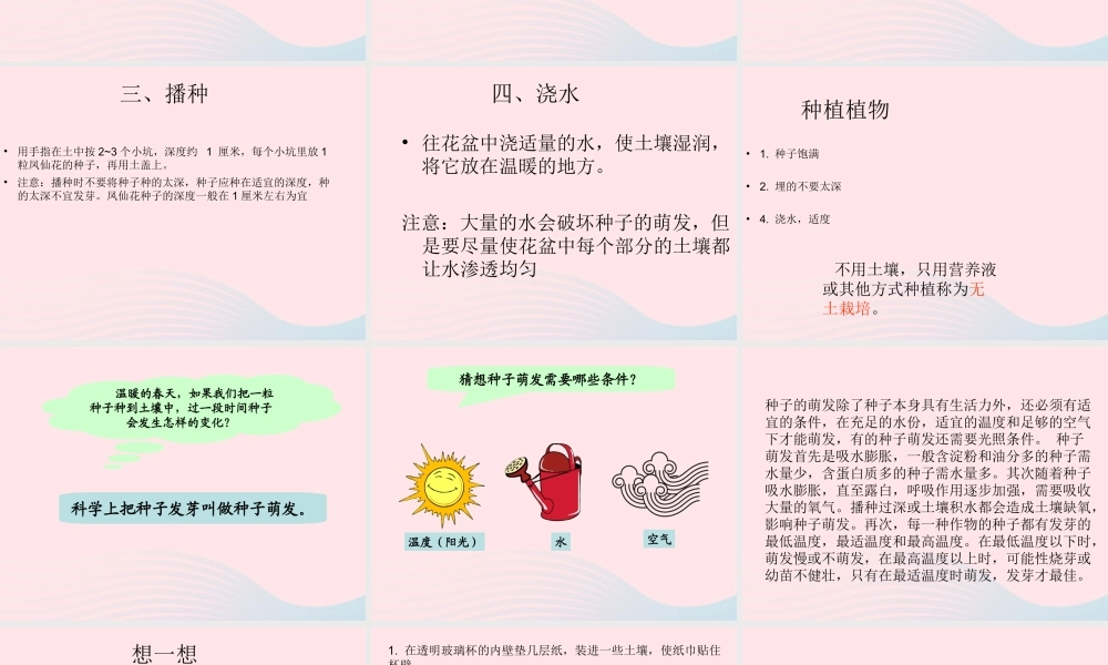 三年级科学下册 植物的生长变化 2 种植我们的植物课件3 教科版-教科版小学三年级下册自然科学课件