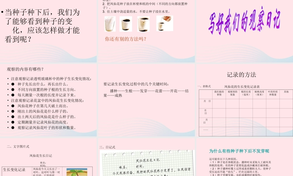 三年级科学下册 植物的生长变化 2 种植我们的植物课件3 教科版-教科版小学三年级下册自然科学课件