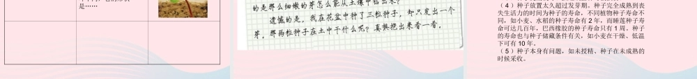 三年级科学下册 植物的生长变化 2 种植我们的植物课件3 教科版-教科版小学三年级下册自然科学课件