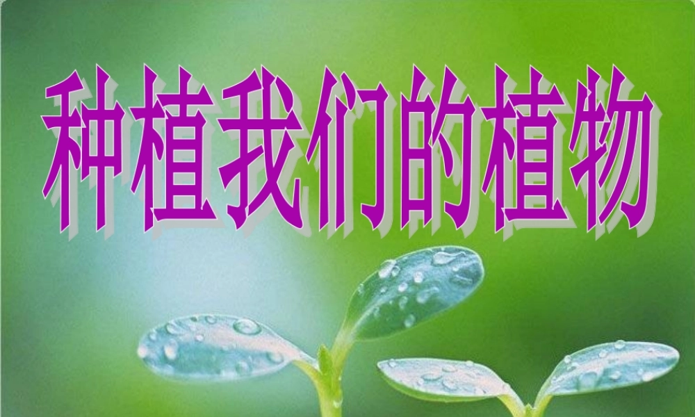 三年级科学下册 植物的生长变化 2 种植我们的植物课件4 教科版-教科版小学三年级下册自然科学课件
