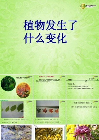 三年级科学上册 植物发生了什么变化课件1 教科版