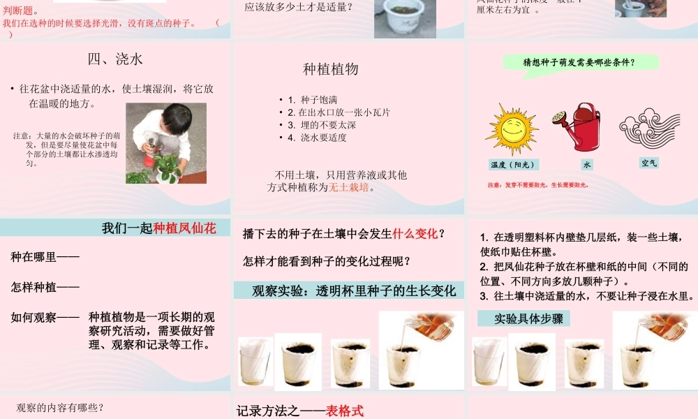 三年级科学下册 植物的生长变化 2 种植我们的植物课件5 教科版-教科版小学三年级下册自然科学课件