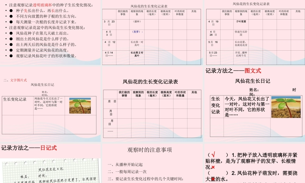 三年级科学下册 植物的生长变化 2 种植我们的植物课件5 教科版-教科版小学三年级下册自然科学课件