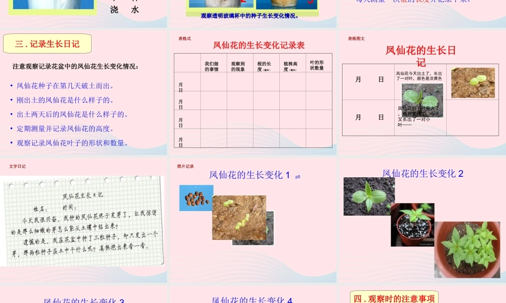 三年级科学下册 植物的生长变化 2 种植我们的植物课件6 教科版-教科版小学三年级下册自然科学课件
