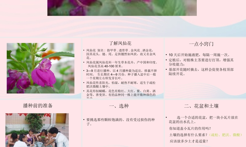 三年级科学下册 植物的生长变化 2《种植我们的植物》课件 教科版-教科版小学三年级下册自然科学课件