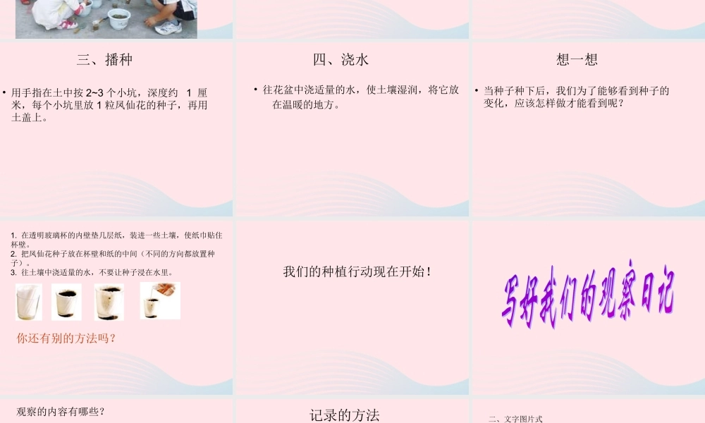 三年级科学下册 植物的生长变化 2《种植我们的植物》课件 教科版-教科版小学三年级下册自然科学课件