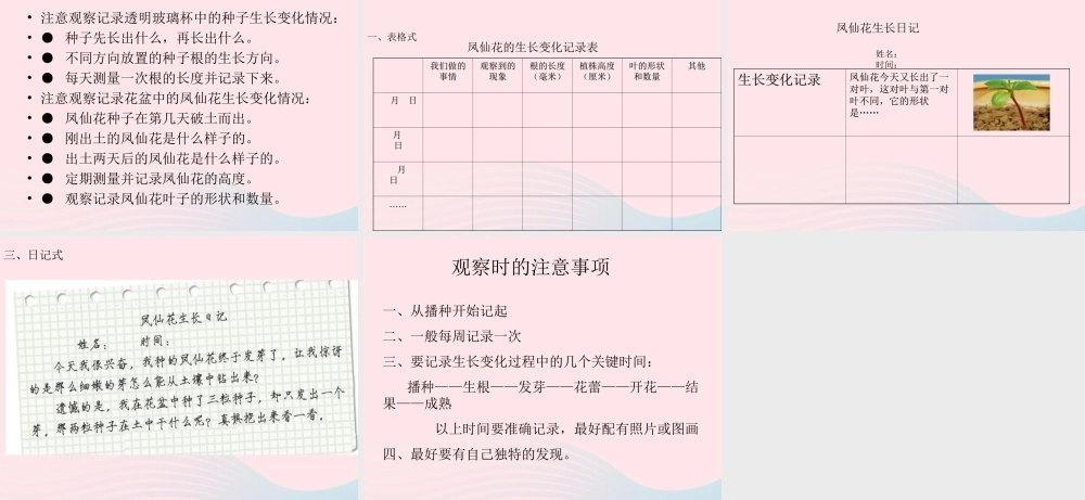 三年级科学下册 植物的生长变化 2《种植我们的植物》课件 教科版-教科版小学三年级下册自然科学课件