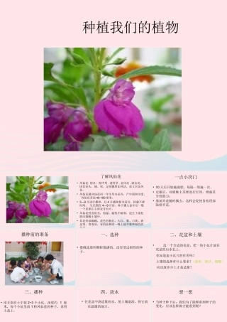 三年级科学下册 植物的生长变化 2《种植我们的植物》课件 教科版-教科版小学三年级下册自然科学课件