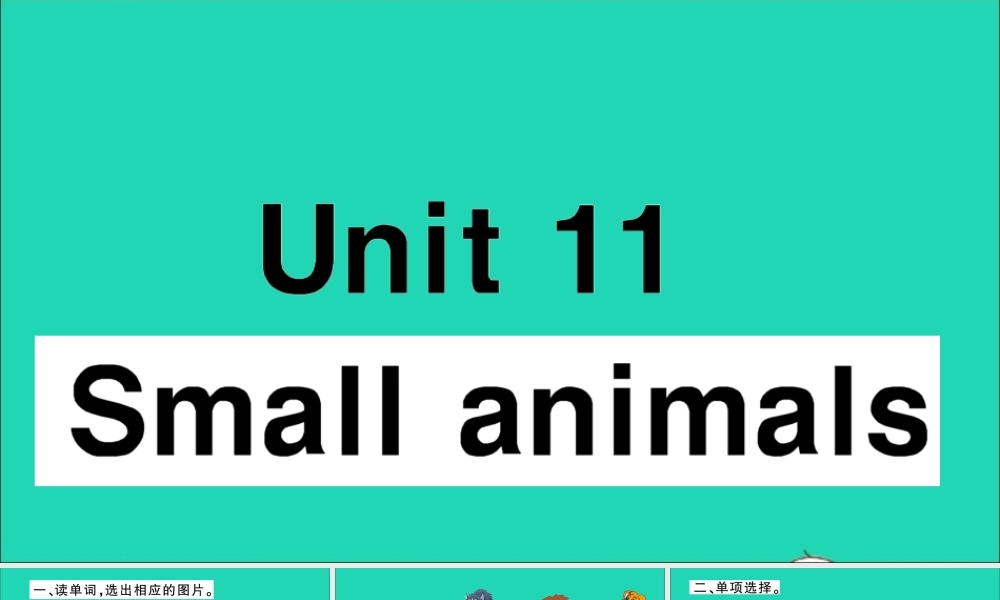三年级英语上册 Module 4 The world around us Unit 11 Small animals作业课件 沪教牛津版（三起）-牛津版小学三年级上册英语课件
