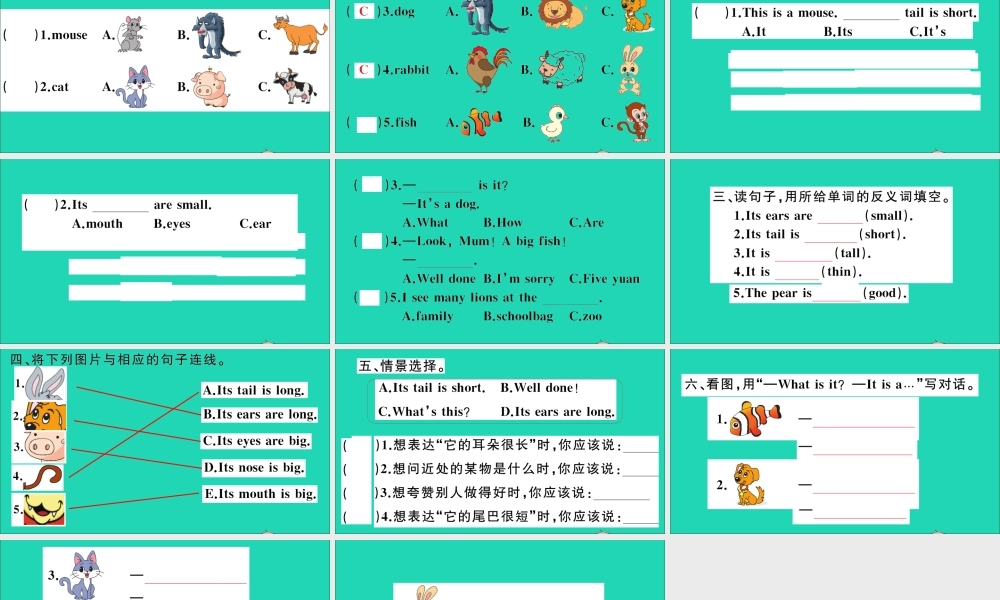 三年级英语上册 Module 4 The world around us Unit 11 Small animals作业课件 沪教牛津版（三起）-牛津版小学三年级上册英语课件