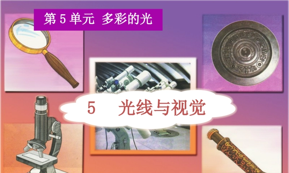三年级科学下册 5.5《光线与视觉》课件1 湘教版-湘教版小学三年级下册自然科学课件