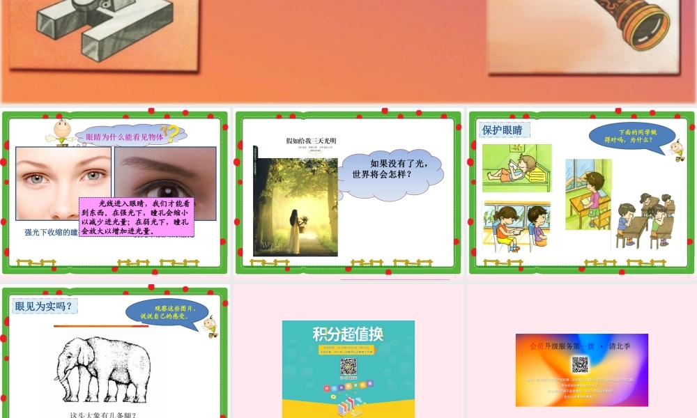 三年级科学下册 5.5《光线与视觉》课件1 湘教版-湘教版小学三年级下册自然科学课件