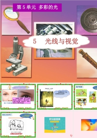 三年级科学下册 5.5《光线与视觉》课件1 湘教版-湘教版小学三年级下册自然科学课件