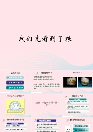 三年级科学下册 植物的生长变化 3 我们先看到了根课件1 教科版-教科版小学三年级下册自然科学课件