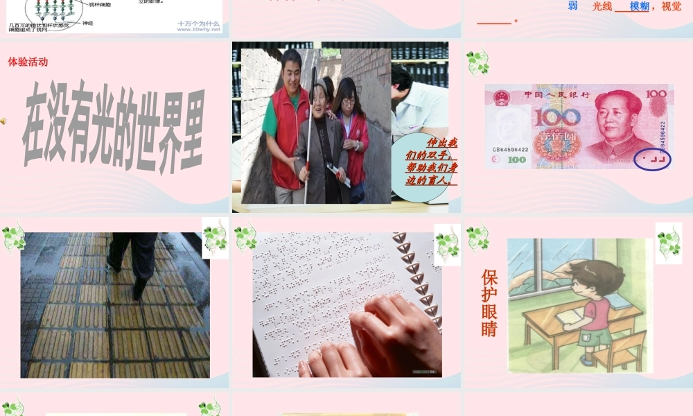 三年级科学下册 5.5《光线与视觉》课件2 湘教版-湘教版小学三年级下册自然科学课件