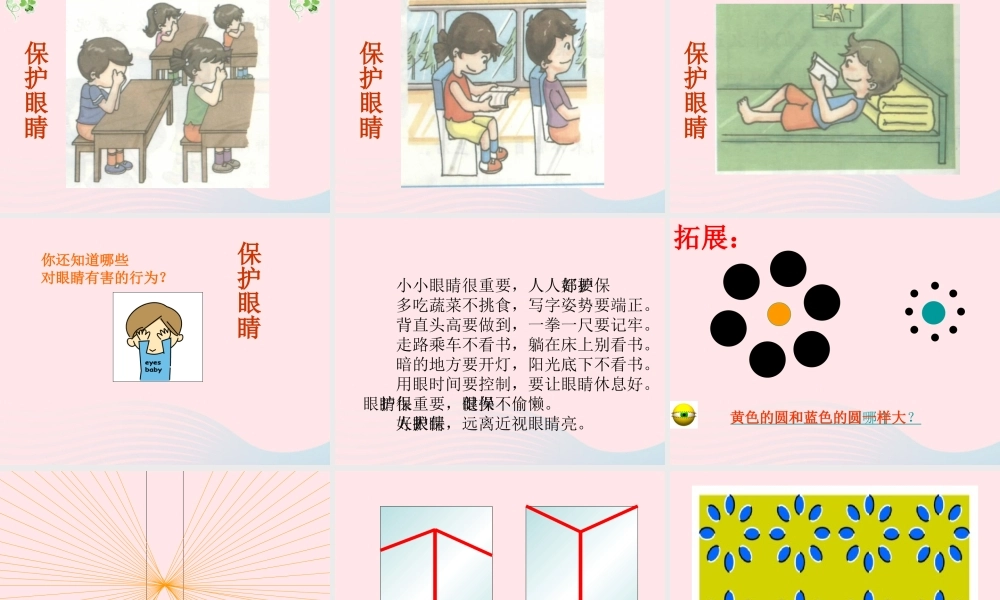 三年级科学下册 5.5《光线与视觉》课件2 湘教版-湘教版小学三年级下册自然科学课件