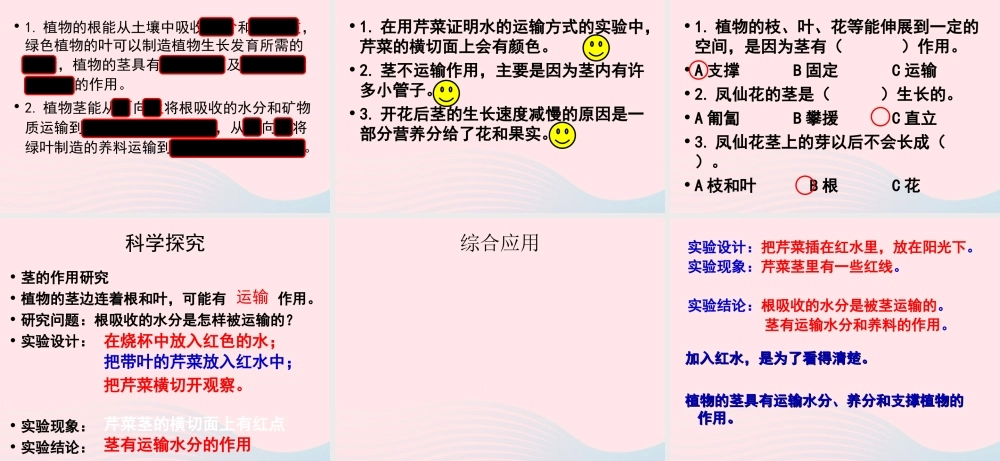 三年级科学下册 植物的生长变化 5 茎越长越高课件 教科版-教科版小学三年级下册自然科学课件