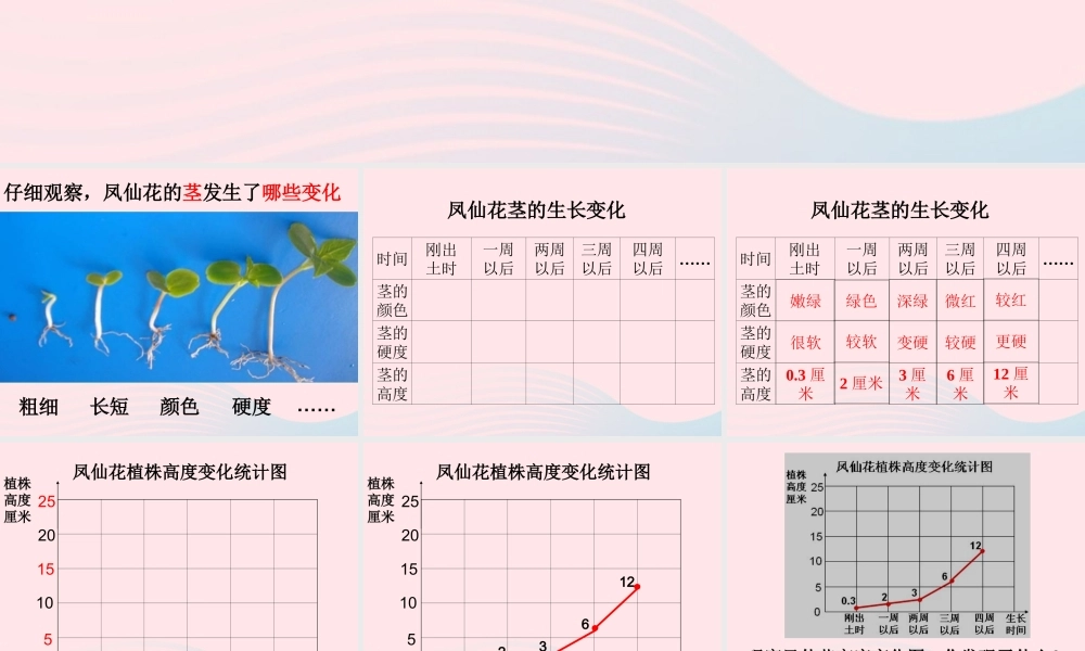 三年级科学下册 植物的生长变化 5 茎越长越高课件1 教科版-教科版小学三年级下册自然科学课件