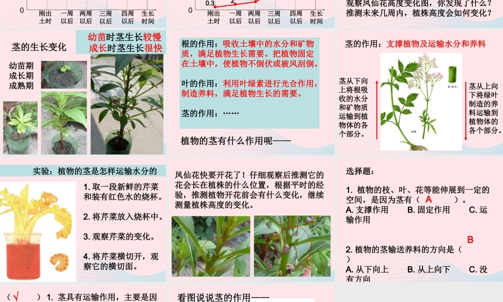 三年级科学下册 植物的生长变化 5 茎越长越高课件1 教科版-教科版小学三年级下册自然科学课件