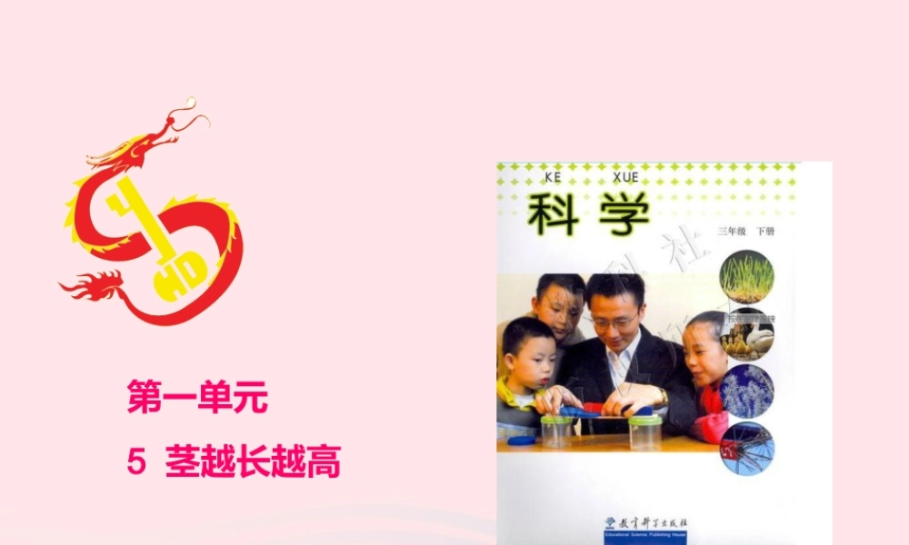 三年级科学下册 植物的生长变化 5 茎越长越高课件2 教科版-教科版小学三年级下册自然科学课件