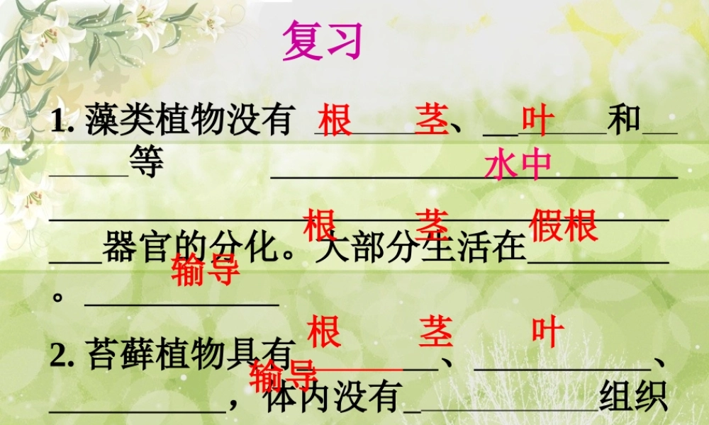 三年级科学下册 二 植物的生长 1《植物的种子》课件3 新人教版-新人教版小学三年级下册自然科学课件