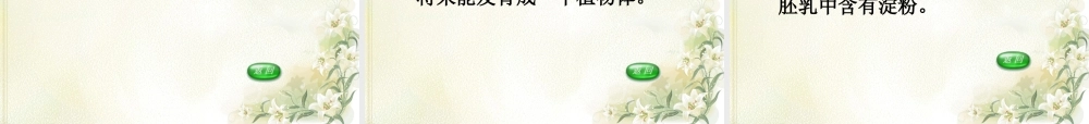 三年级科学下册 二 植物的生长 1《植物的种子》课件3 新人教版-新人教版小学三年级下册自然科学课件