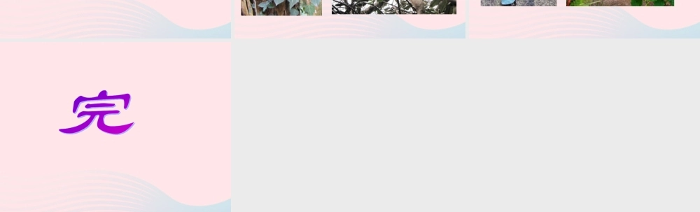 三年级科学下册 植物的生长变化 5 茎越长越高课件3 教科版-教科版小学三年级下册自然科学课件