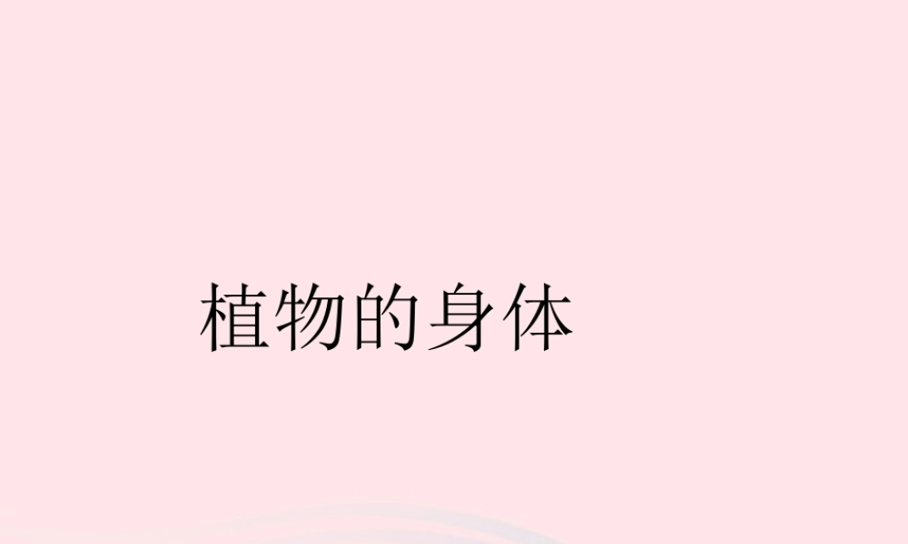 三年级科学下册 二 植物的生长 3《植物的身体》课件1 新人教版-新人教版小学三年级下册自然科学课件