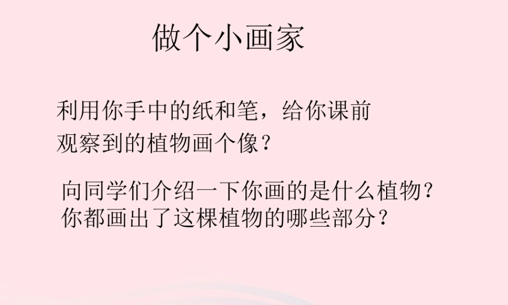 三年级科学下册 二 植物的生长 3《植物的身体》课件3 新人教版-新人教版小学三年级下册自然科学课件